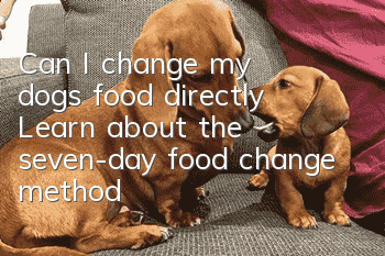 Can I change my dog’s food directly? Learn about the seven-day food change method