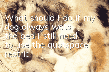 What should I do if my dog always wets the bed? I still need to use the "space restriction method"