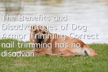 The Benefits and Disadvantages of Dog Armor Trimming Correct nail trimming has no disadvantages!