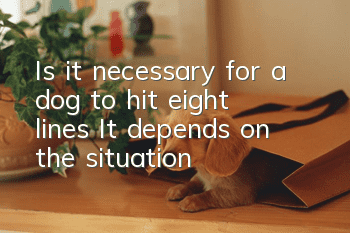 Is it necessary for a dog to hit eight lines? It depends on the situation!