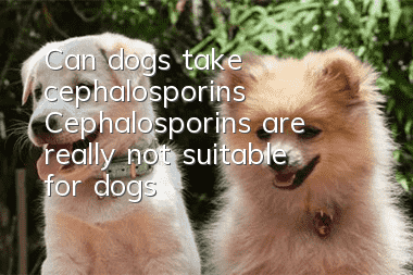 Can dogs take cephalosporins? Cephalosporins are really not suitable for dogs!