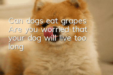 Can dogs eat grapes? Are you worried that your dog will live too long?