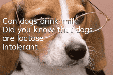 Can dogs drink milk? Did you know that dogs are lactose intolerant?