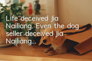Life deceived Jia Nailiang. Even the dog seller deceived Jia Nailiang...