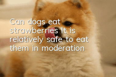 Can dogs eat strawberries? It is relatively safe to eat them in moderation!