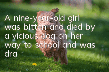 A nine-year-old girl was bitten and died by a vicious dog on her way to school and was dragged 50 meters!