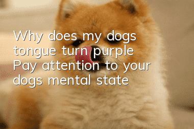Why does my dog's tongue turn purple? Pay attention to your dog’s mental state!