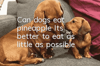 Can dogs eat pineapple? It’s better to eat as little as possible!