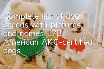 Complete list of dog breeds with pictures and names: 178 American AKC-certified dogs