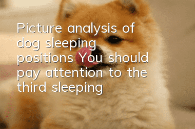Picture analysis of dog sleeping positions: You should pay attention to the third sleeping position!