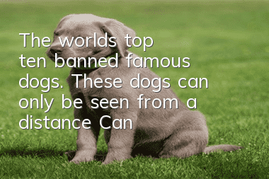 The world's top ten banned famous dogs. These dogs can only be seen from a distance! Can’t be raised!