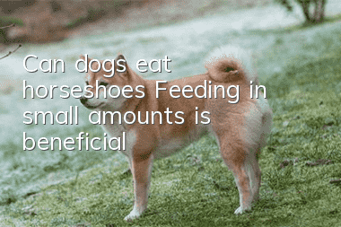 Can dogs eat horseshoes? Feeding in small amounts is beneficial!