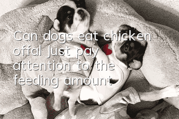 Can dogs eat chicken offal? Just pay attention to the feeding amount!