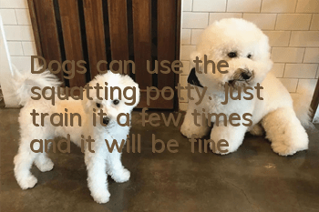 Dogs can use the squatting potty. Just train it a few times and it will be fine!