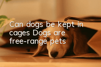 Can dogs be kept in cages? Dogs are free-range pets!