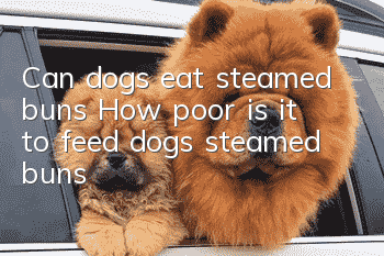 Can dogs eat steamed buns? How poor is it to feed dogs steamed buns?