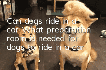 Can dogs ride in a car? What preparation room is needed for dogs to ride in a car?
