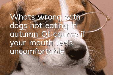 What's wrong with dogs not eating in autumn? Of course, if your mouth feels uncomfortable, you won't be able to eat!