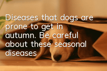 Diseases that dogs are prone to get in autumn. Be careful about these seasonal diseases!