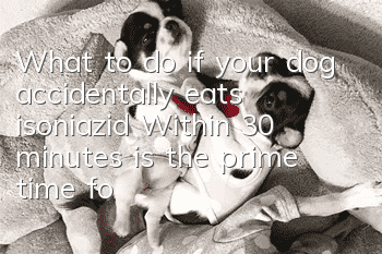 What to do if your dog accidentally eats isoniazid? Within 30 minutes is the prime time for rescue!