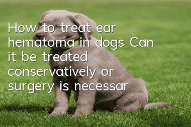 How to treat ear hematoma in dogs? Can it be treated conservatively or surgery is necessary?