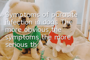 Symptoms of parasite infection in dogs: The more obvious the symptoms, the more serious the infection.