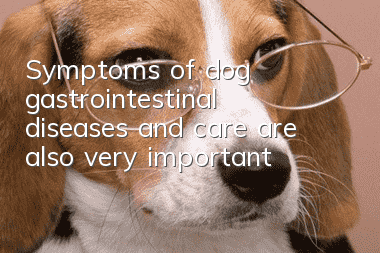 Symptoms of dog gastrointestinal diseases and care are also very important!