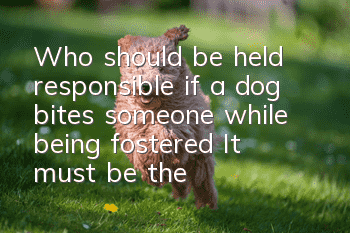 Who should be held responsible if a dog bites someone while being fostered? It must be the owner who is responsible!