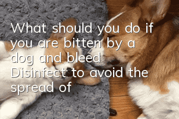 What should you do if you are bitten by a dog and bleed? Disinfect to avoid the spread of viruses.