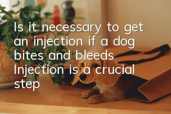 Is it necessary to get an injection if a dog bites and bleeds? Injection is a crucial step to save life!