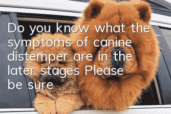Do you know what the symptoms of canine distemper are in the later stages? Please be sure to read this article to the end!