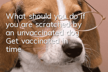 What should you do if you are scratched by an unvaccinated dog? Get vaccinated in time!