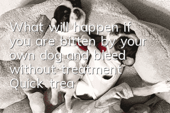 What will happen if you are bitten by your own dog and bleed without treatment? Quick treatment is the key!