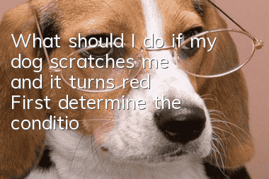 What should I do if my dog scratches me and it turns red? First determine the condition of the wound~