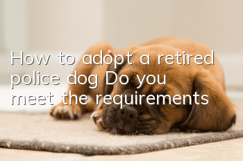 How to adopt a retired police dog? Do you meet the requirements?