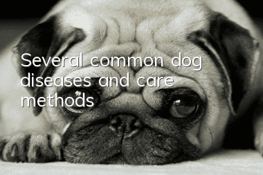 Several common dog diseases and care methods