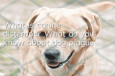 What is canine distemper? What do you know about dog plague?
