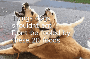Things dogs shouldn’t eat: Don’t be fooled by these 20 foods!