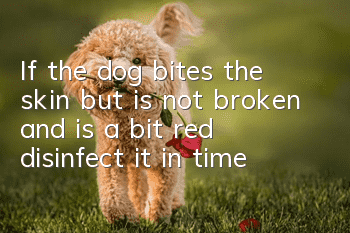 If the dog bites the skin but is not broken and is a bit red, disinfect it in time!
