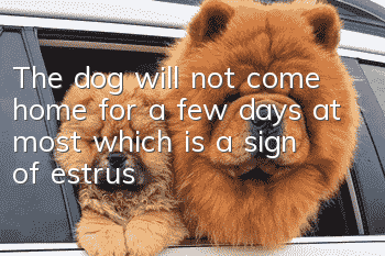 The dog will not come home for a few days at most, which is a sign of estrus!