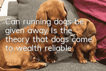 Can running dogs be given away? Is the theory that dogs come to wealth reliable?
