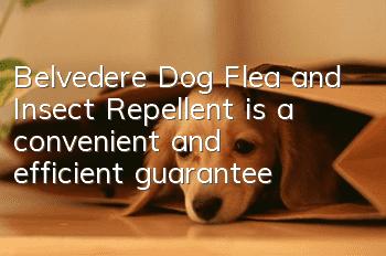 Belvedere Dog Flea and Insect Repellent is a convenient and efficient guarantee!
