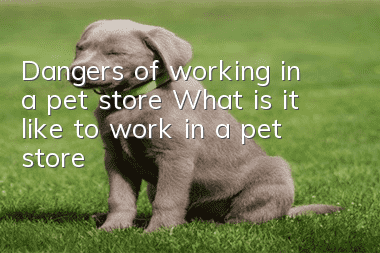 Dangers of working in a pet store What is it like to work in a pet store?