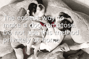 The easiest way to make a dog comatose. Do not use this method privately at home!
