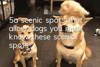 5a scenic spots that allow dogs, you must know these scenic spots!