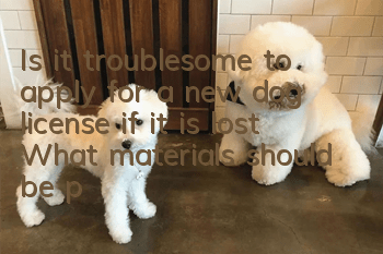 Is it troublesome to apply for a new dog license if it is lost? What materials should be prepared to apply for a new dog license?
