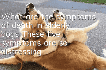 What are the symptoms of death in elderly dogs? These five symptoms are so distressing!