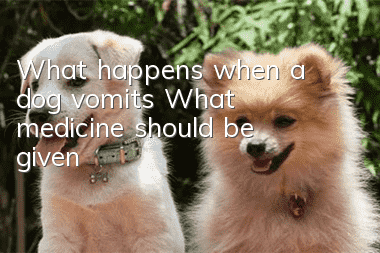 What happens when a dog vomits? What medicine should be given?