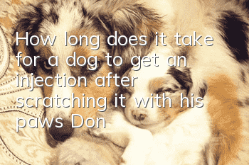 How long does it take for a dog to get an injection after scratching it with his paws? Don’t rush and check first to see if you need an injection!
