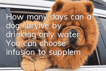 How many days can a dog survive by drinking only water? You can choose infusion to supplement nutrition.